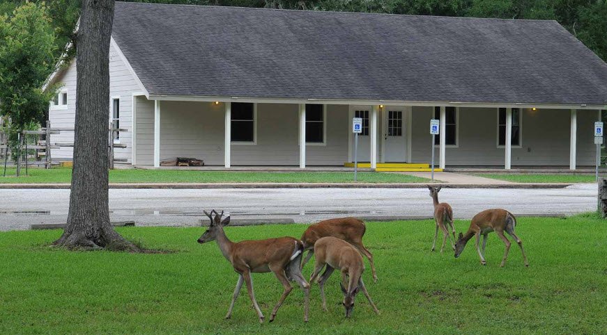 Stephen F. Austin State Park, Texas, USA